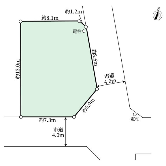 埼玉県入間市鍵山２丁目(東４m公道南４m公道角地)