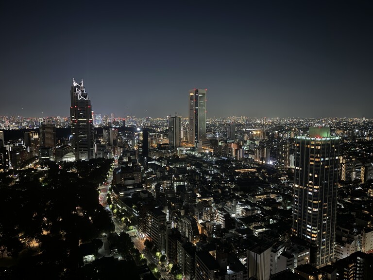 コンシェリア西新宿ＴＯＷＥＲ’Ｓ　ＷＥＳＴ(バルコニーから見た夜景)