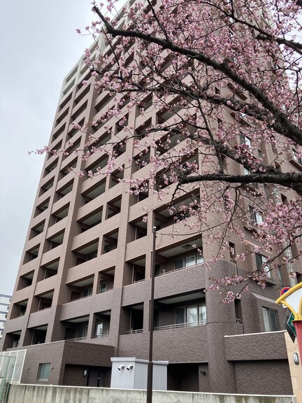 ライオンズマンション美術館通り(外観写真（2024.4.20撮影）)