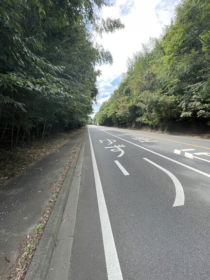 千葉県山武郡芝山町岩山