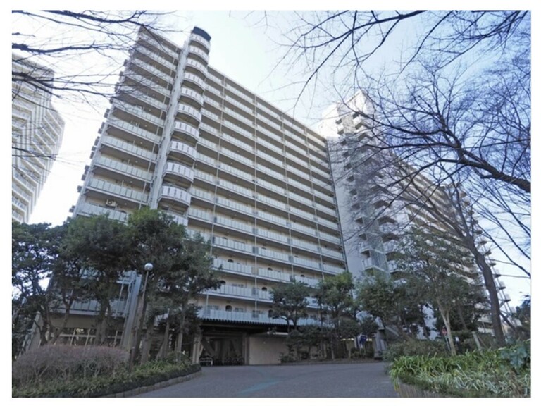 サンシティ　Ｆ棟(外観：サンシティF棟15階建6階部分広大な緑に囲まれた住環境敷地面積は97103.58㎡あり)