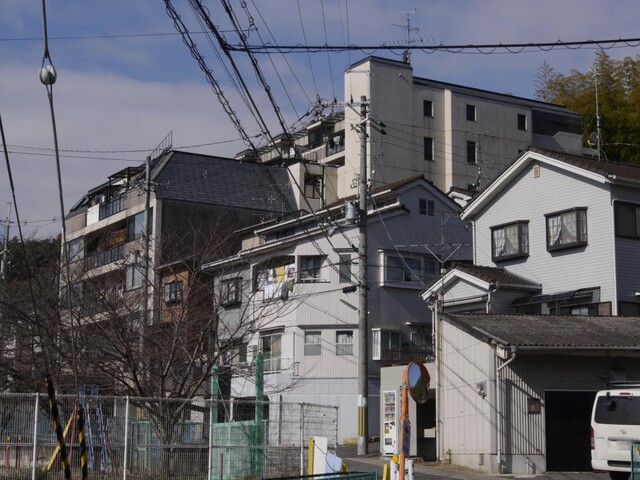 エル・パティオ桃山東(外観)