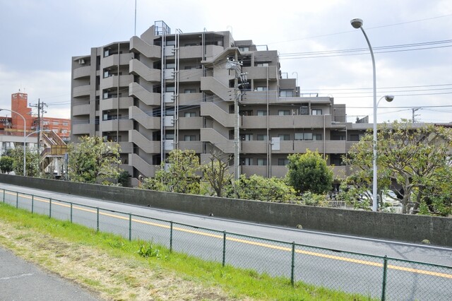 ナイスアーバン二子多摩川(外観)