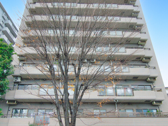 東急リバブル グリーンキャピタル朝霞台周辺のマンション