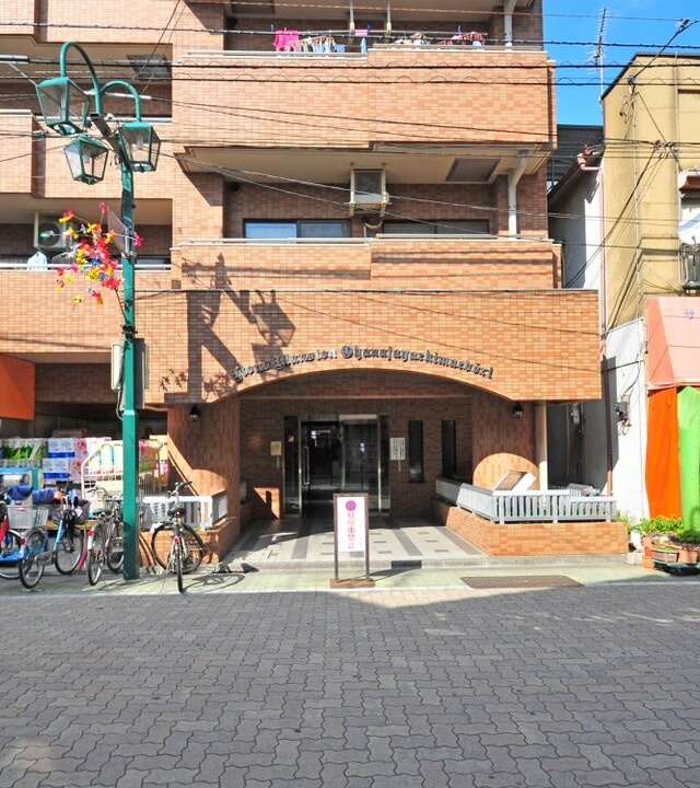 ライオンズマンションお花茶屋駅前通り(アプローチ)