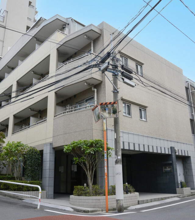ラグジュアリーアパートメント西新宿(外観)
